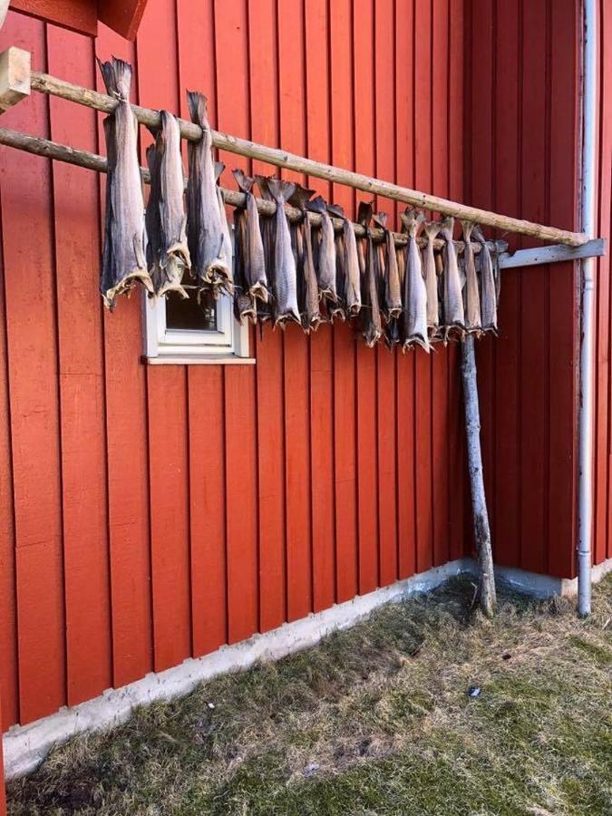 Ballstad Brygge Rorbu Bagian luar foto